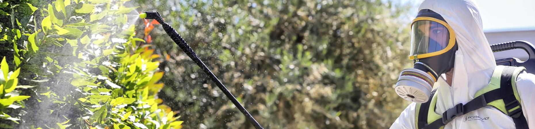 ecoservice-cesena it disinfestazioni-disinfezioni-e-derattizzazioni-cesena 005