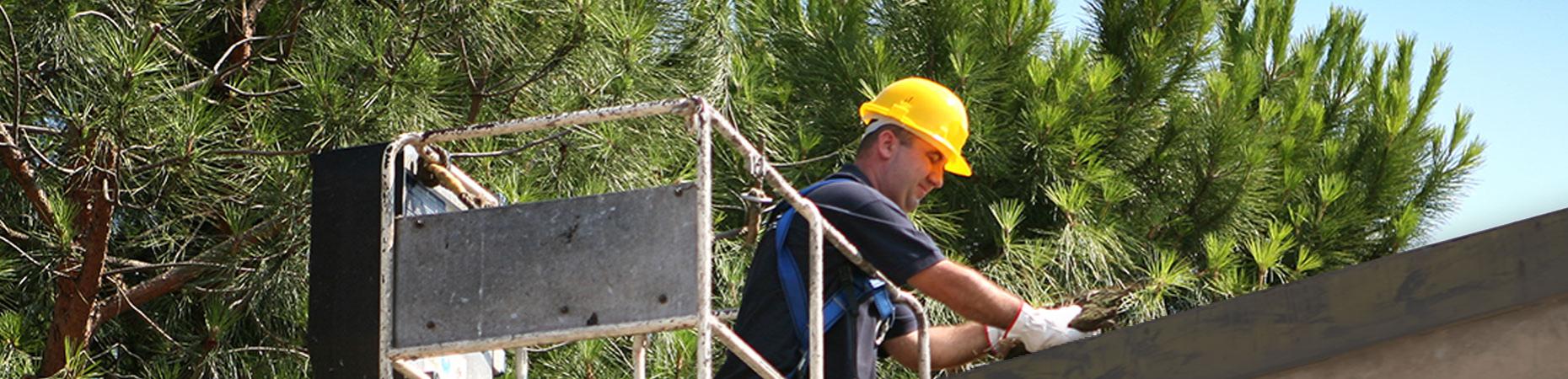 ecoservice-cesena it pulizie-grondaie-cesena 005