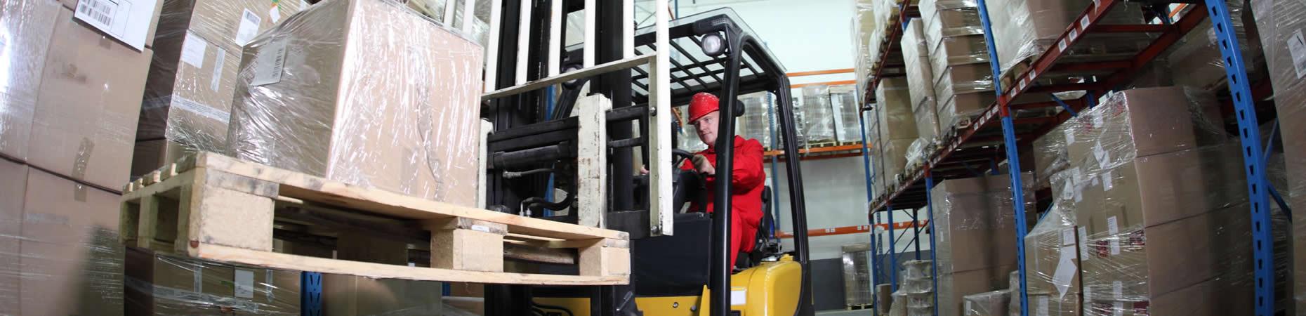 ecoservice-cesena it servizi-logistica-settore-ittico-cesena 005